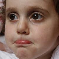 专业高端可靠的网页免费发手机号